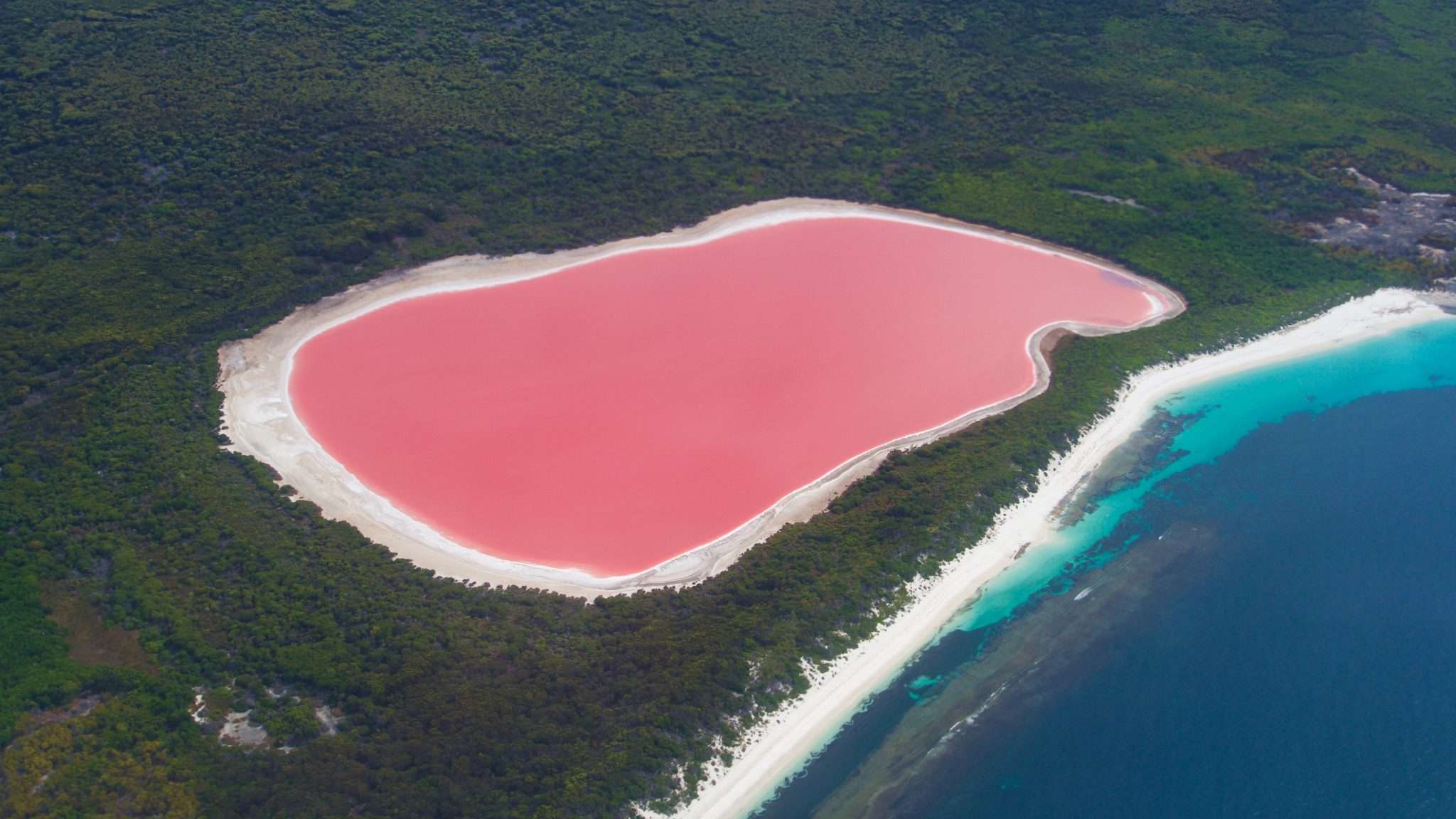 lake hillier day trip